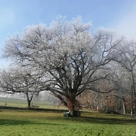 Maison Maupas Rouge 3* Bellesserre