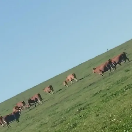 Maison Maupas Rouge 3*